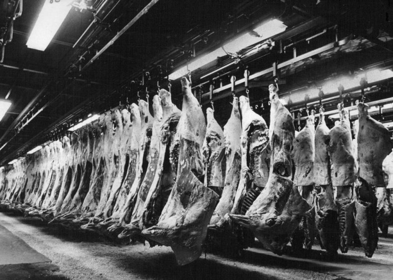 1970s: Rise of factory farming