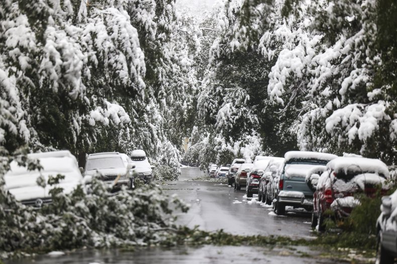 Colorado Snow