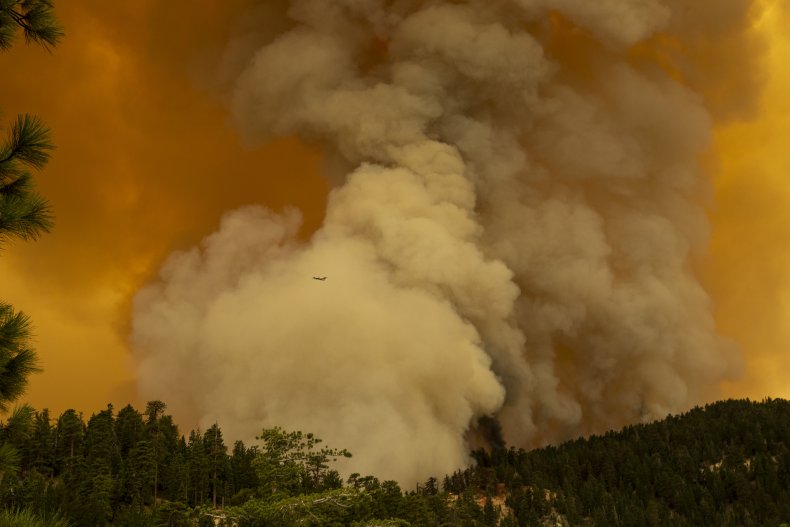 bobcat fire