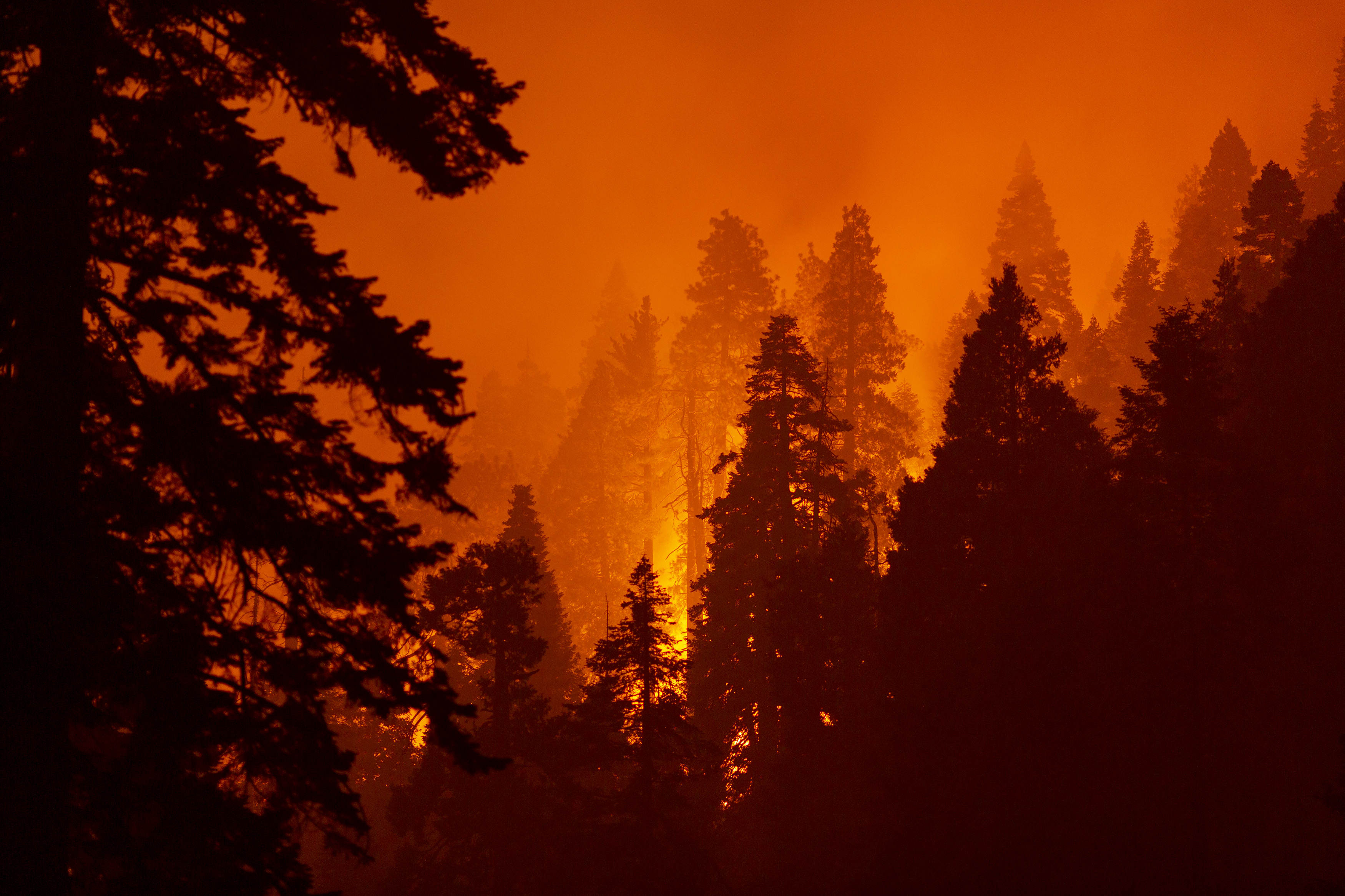 How and When Did the California Wildfires Start?