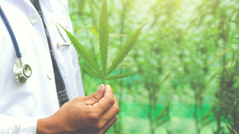 CBD for Diabetes: Maximizing Health Benefits CBD for Diabetes: Maximizing Health Benefits