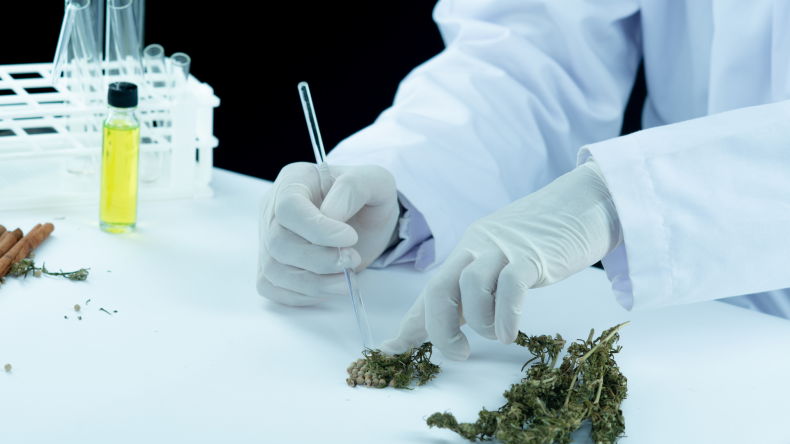 CBD for Diabetes: Maximizing Health Benefits CBD for Diabetes: Maximizing Health Benefits