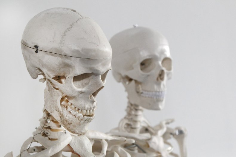 Skeletons Skeletons