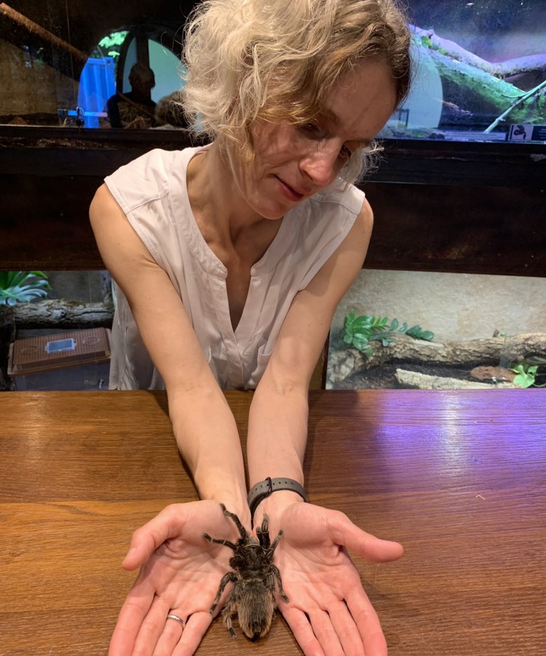 Tarantula
