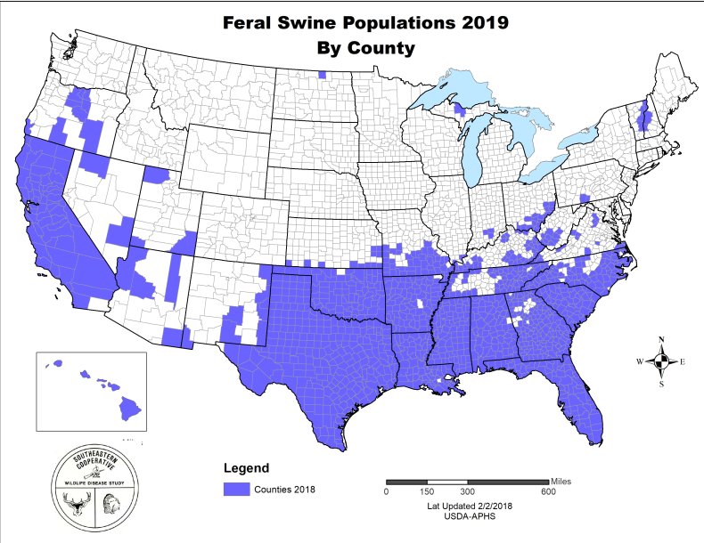 feral-swine-population