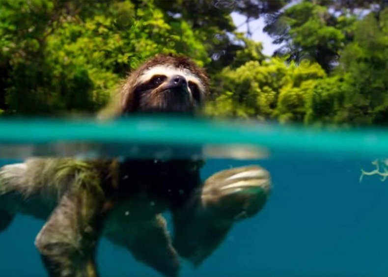 #3. Planet Earth II (tie)