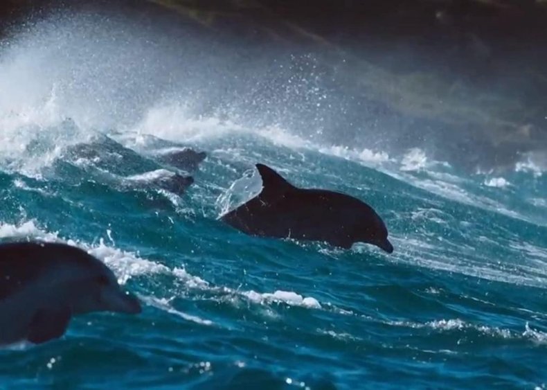 #1. Planet Earth: Blue Planet II