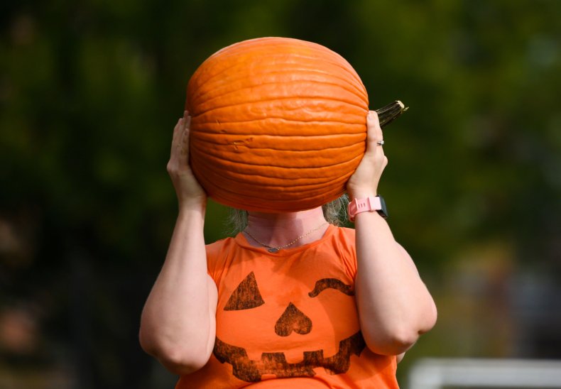 pumpkins pumpkins