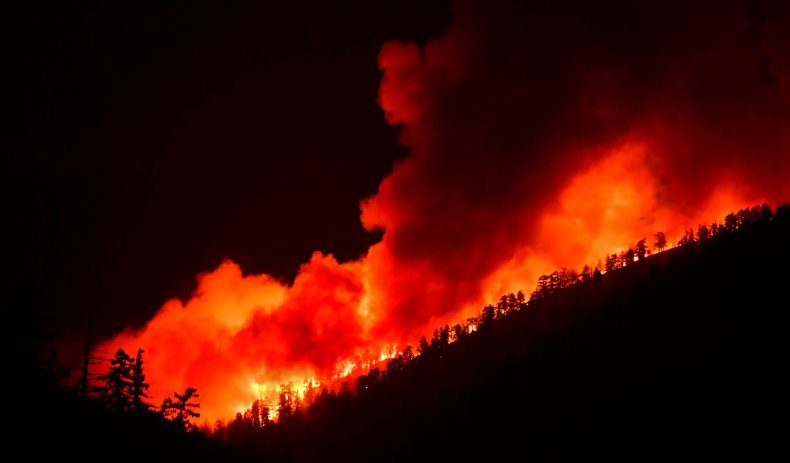 Bobcat Fire Los Angeles California September 2020