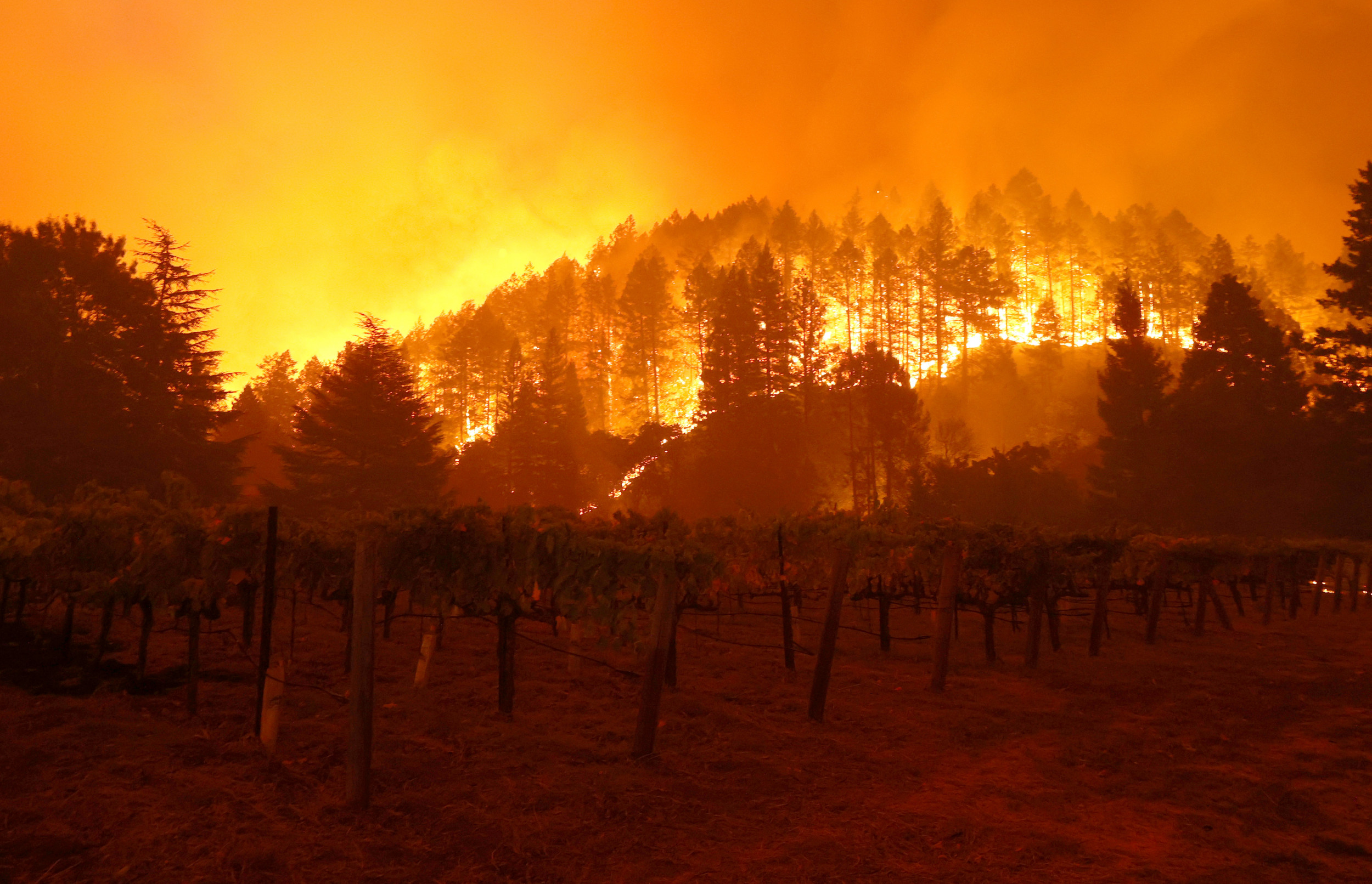 California Fire Map, Update as Glass Fire Burns Through ...