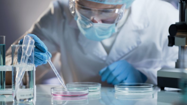 Scientist conducting experiment (Stock)