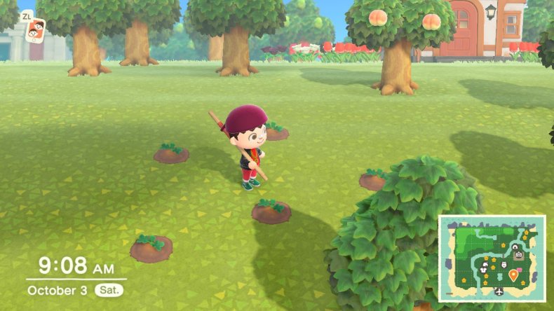 animal crossing october update pumpkin