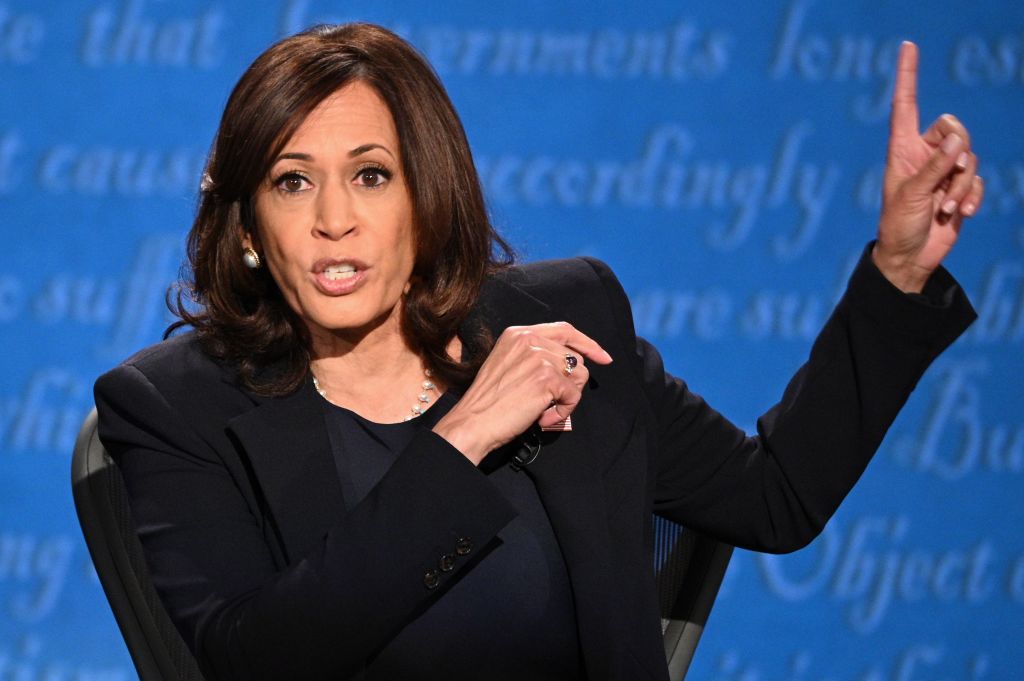 Kamala Harris Running For President 2024 News Rae Nananne