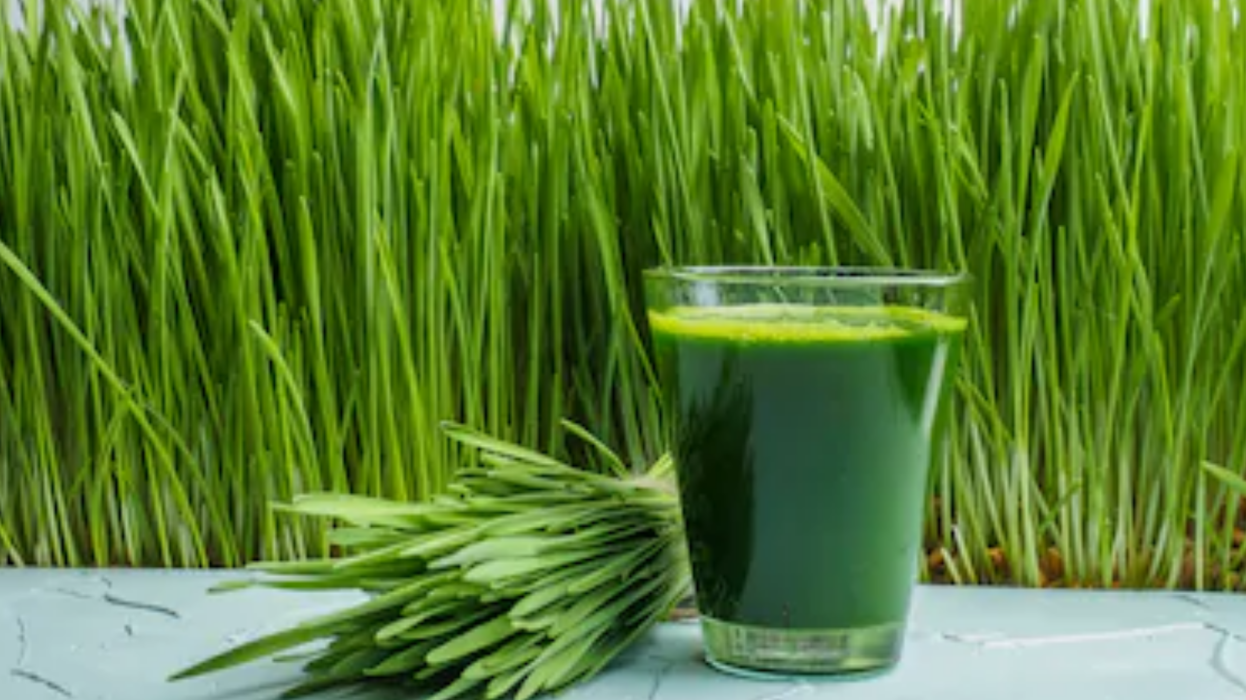 wheatgrass-do-the-actual-health-benefits-match-naturopaths-claims