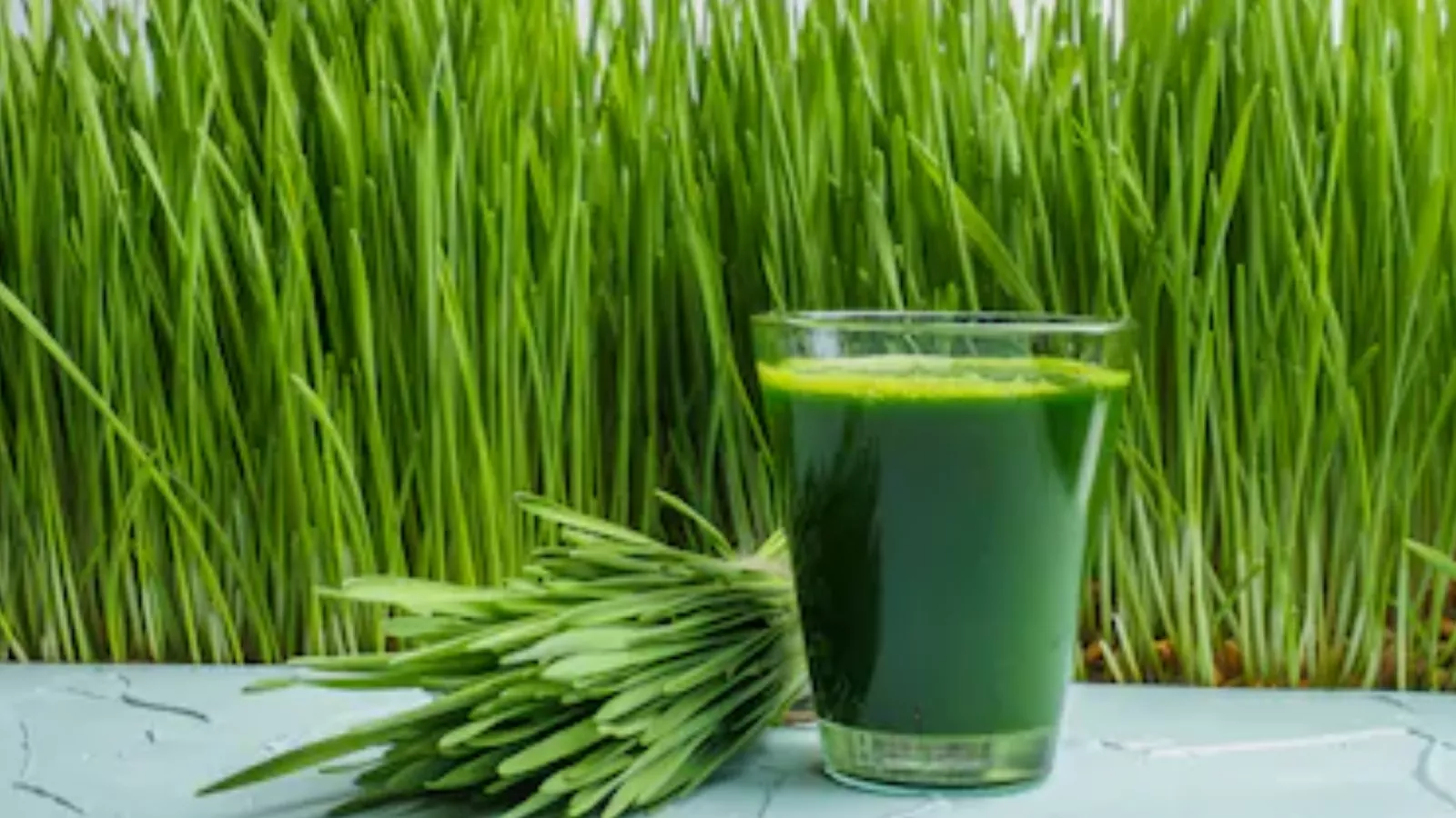 Wheatgrass juice online