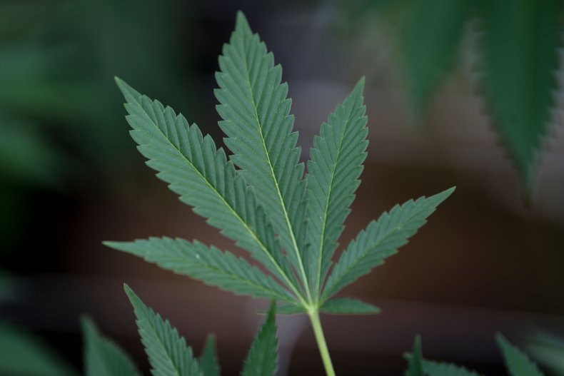pot