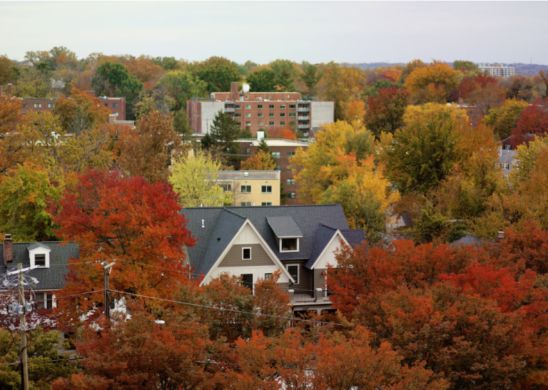 #43. 20816 (Bethesda, Maryland) #43. 20816 (Bethesda, Maryland)