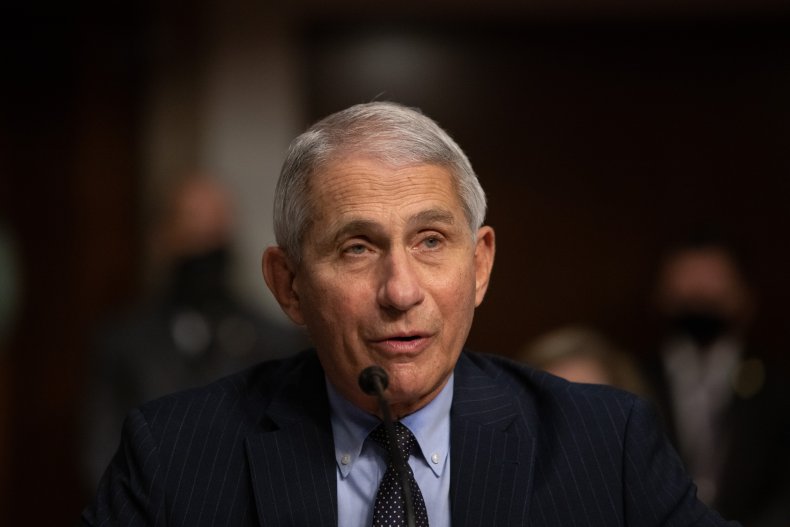 anthony fauci, covid19, coronavirus, senate, getty