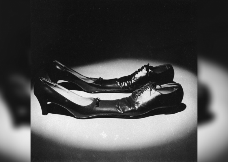 Siamese dancing shoes