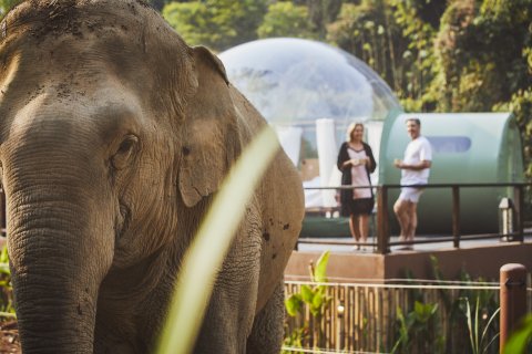 CUL_Map_Bubble Hotels_Jungle Bubbles at the Anantara