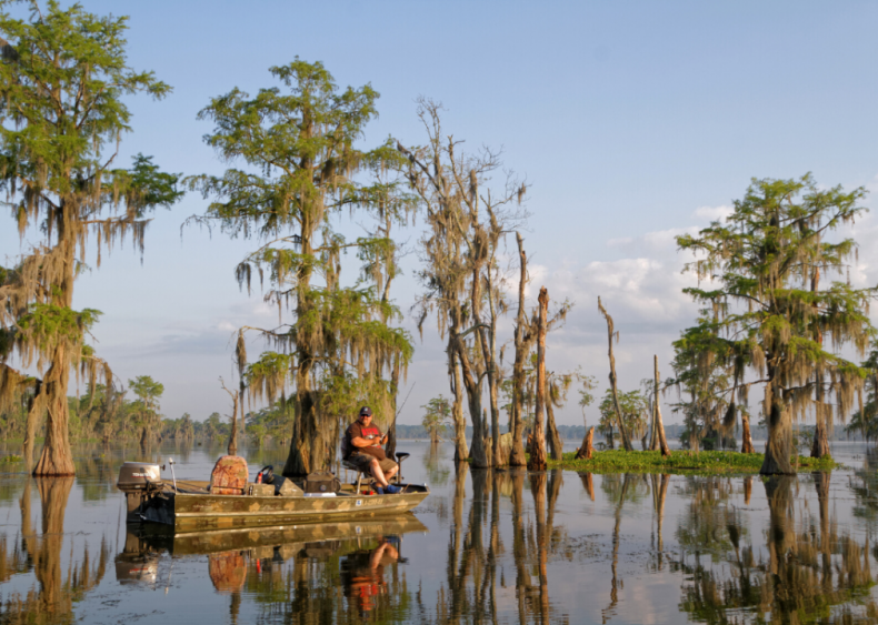 #49. Louisiana