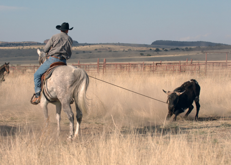 #46. Oklahoma
