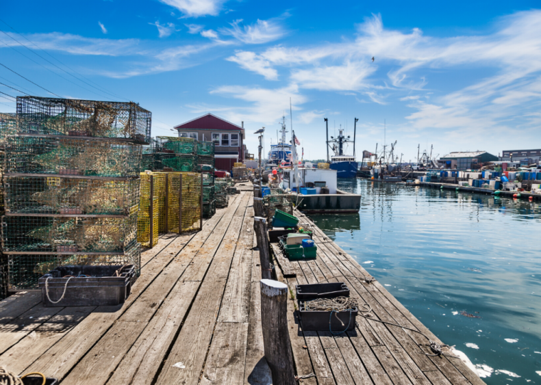 #21. Maine
