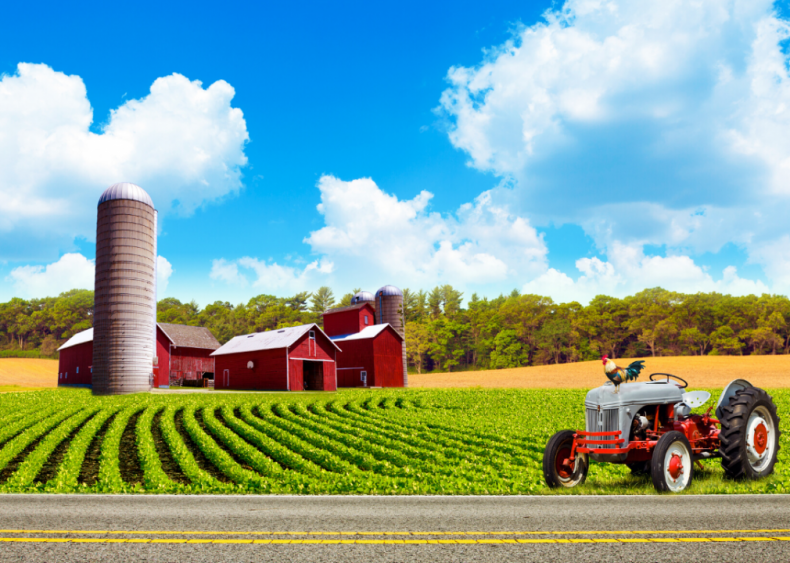 #20. Iowa