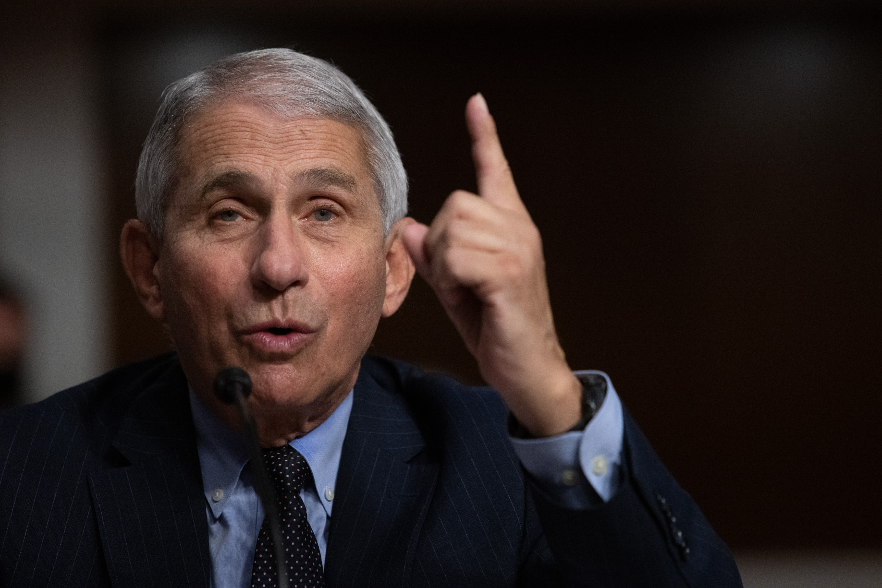 Fauci Cautions Against Herd Immunity Through Widespread Infection - Newsweek
