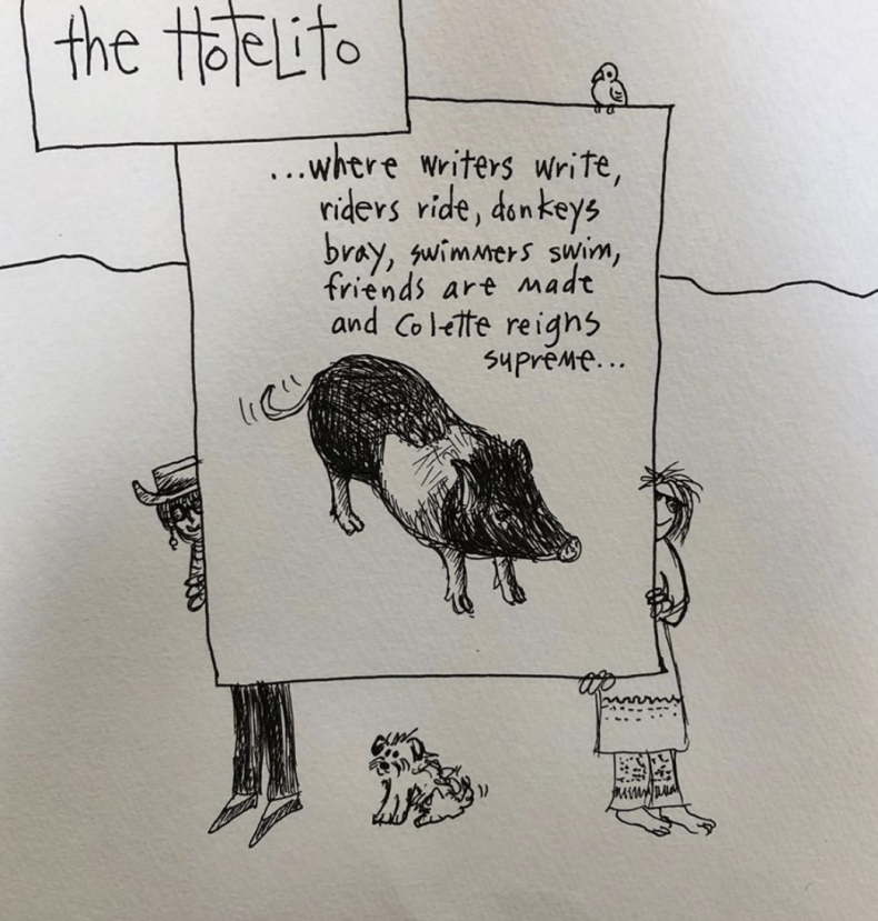 Colette the Pig Artwork
