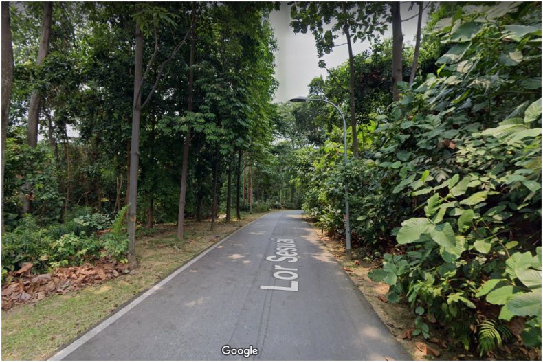 Lorong Sesuai suicide singapore