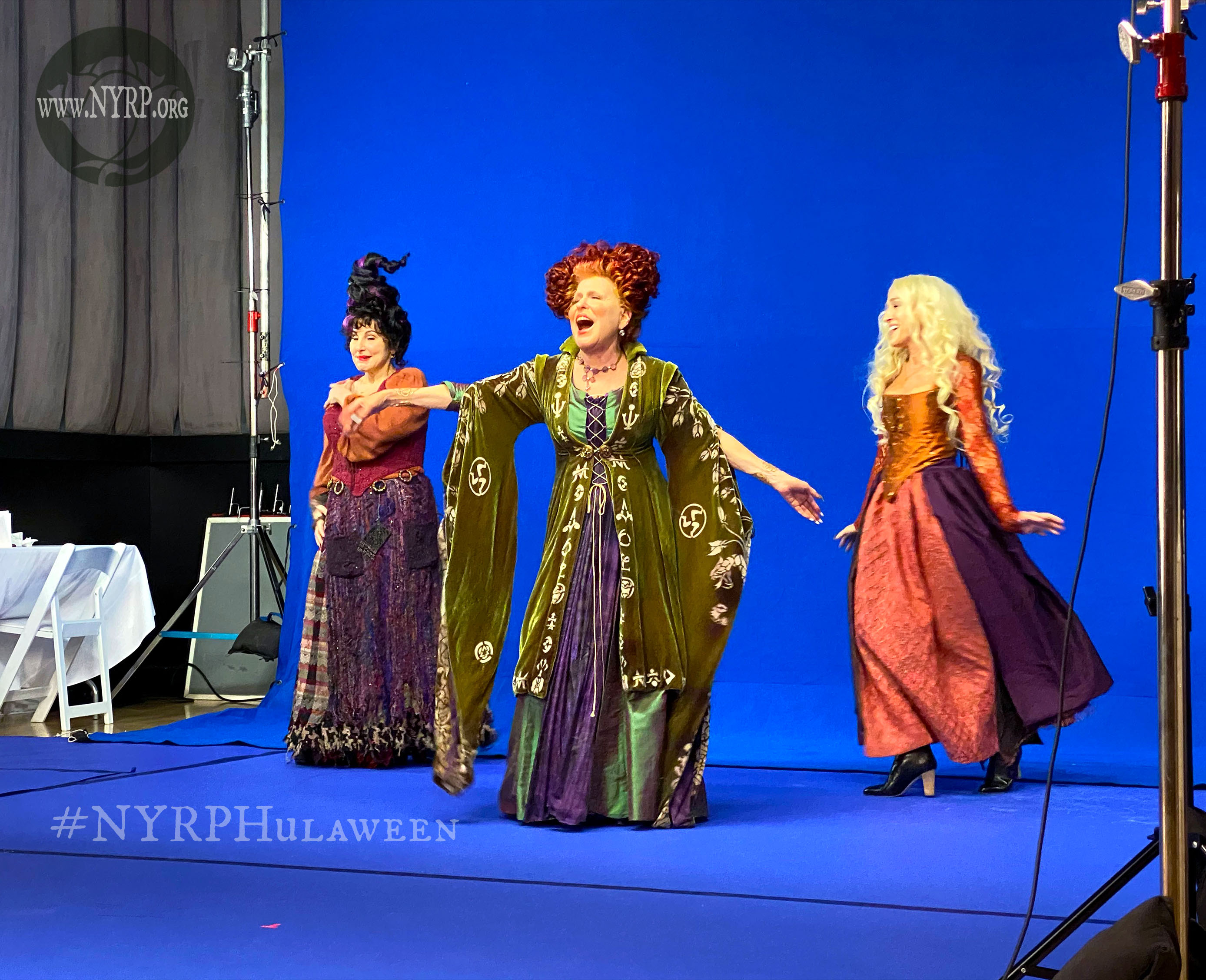 Bette Midler Shares Exciting Details About How to Watch the 'Hocus