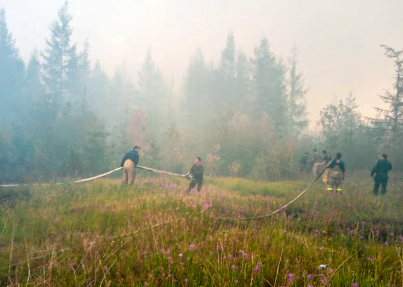 Siberian wildfires produce record carbon emissions