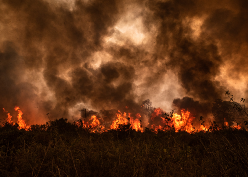 Record-setting fires in Brazil’s tropical wetlands