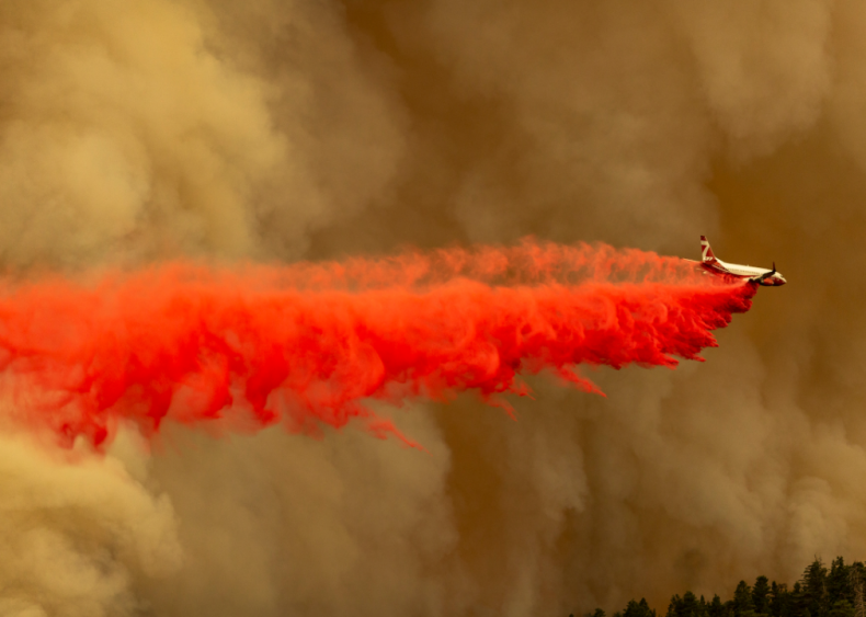 Bobcat Fire burns in California’s Angeles National Forest
