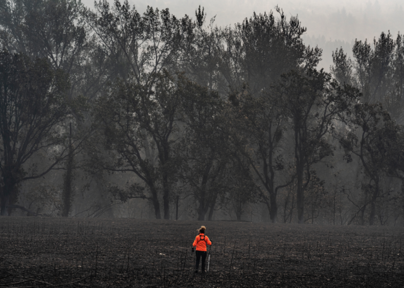 Oregon’s Almeda Fire destroys homes