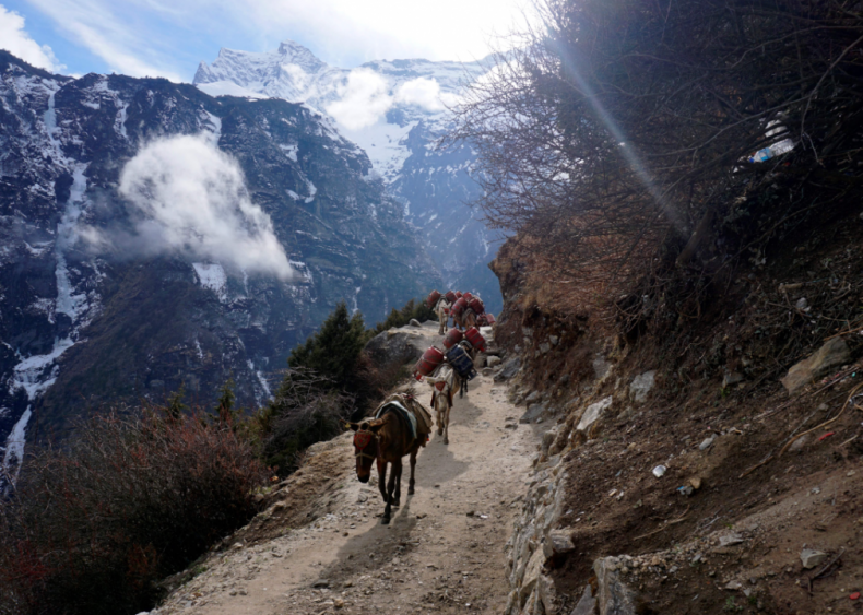 Mount Everest shutdown