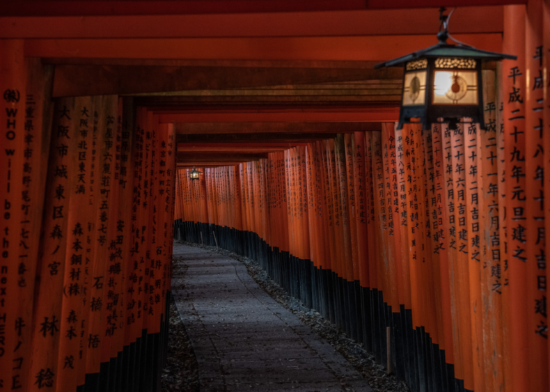 Japan's tourism sector hit by coronavirus outbreak
