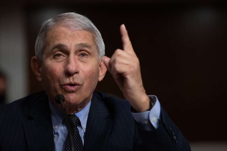 anthony fauci, covid, coronavirus, getty