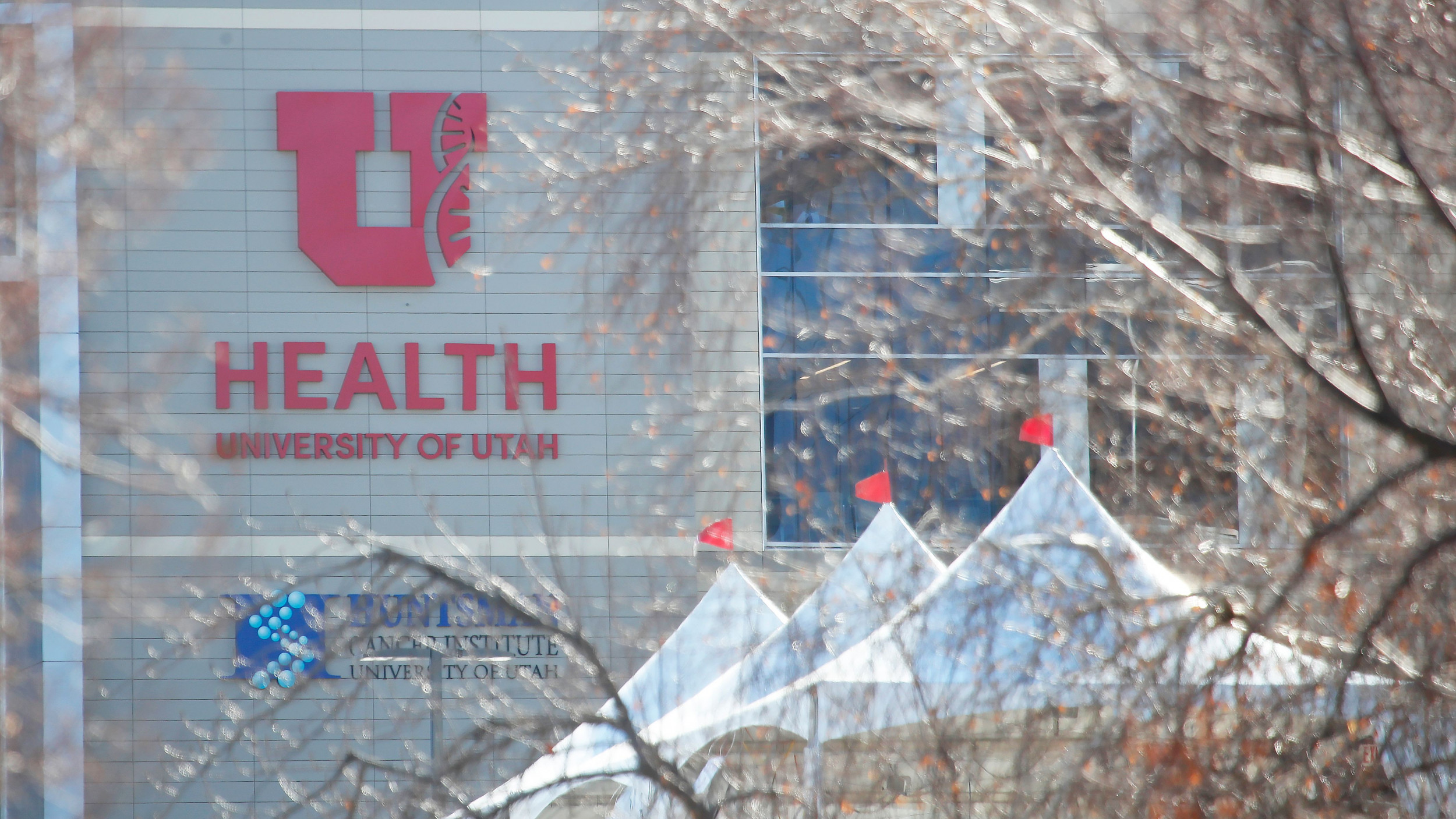 Utah Hospital's ICU at 104 Percent Capacity as State Sees ...