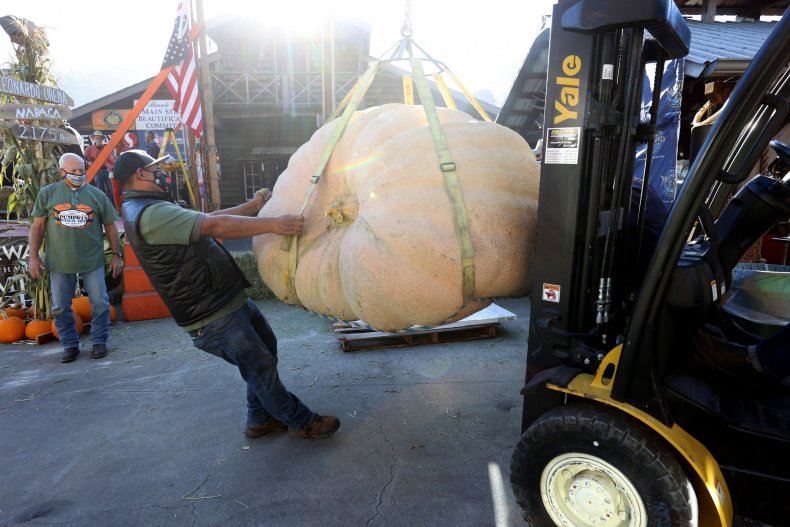 Big Pumpkin
