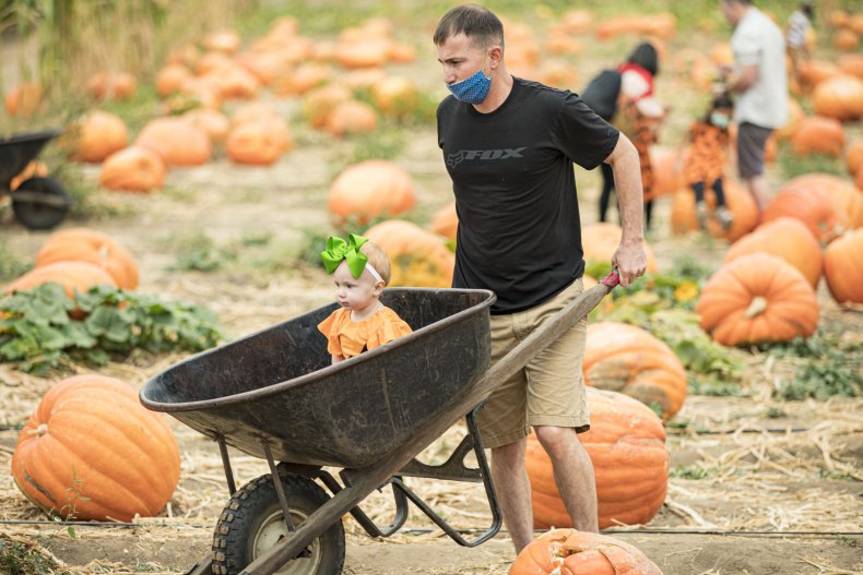 Pumpkin