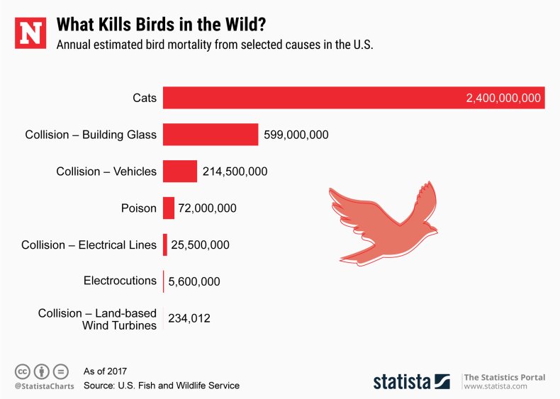 bird deaths, wind turbines, statistat