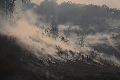 California wildfire wind California wildfire wind