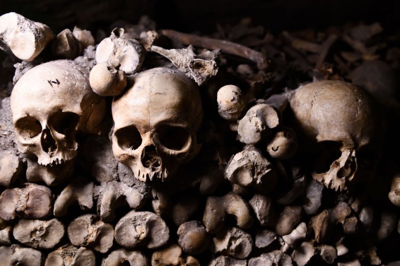 Skull