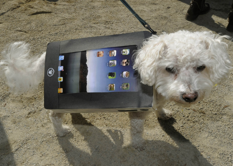 An iPad An iPad