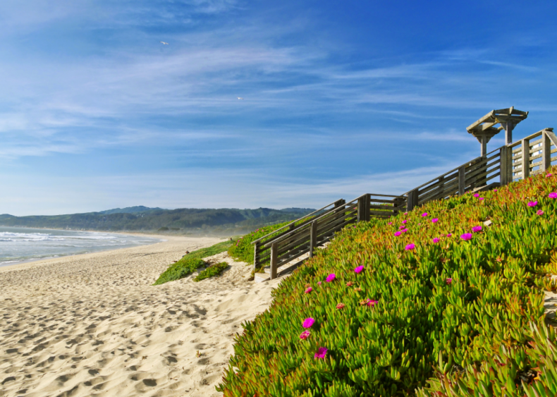 #35. California's 14th Congressional District #35. California's 14th Congressional District