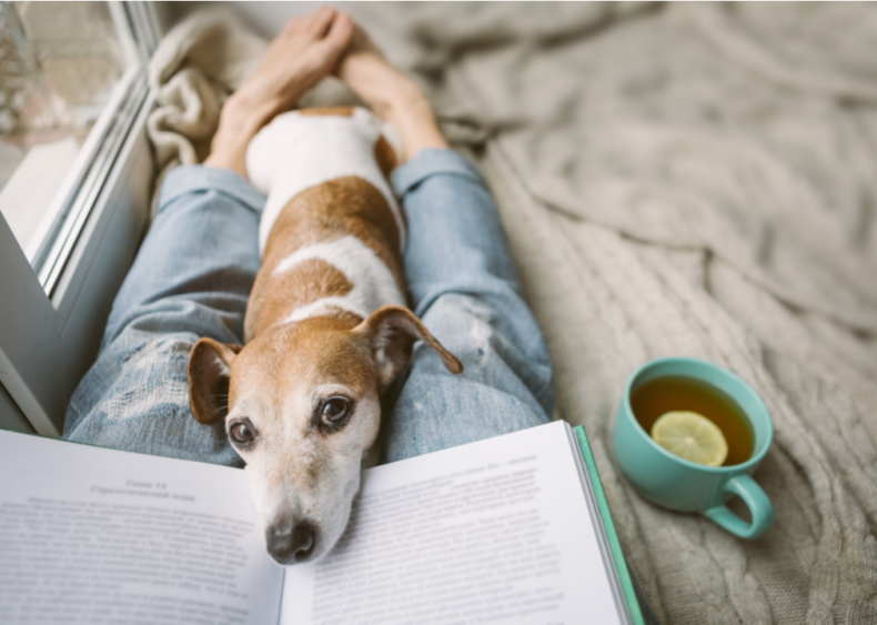 Boost your mental health
