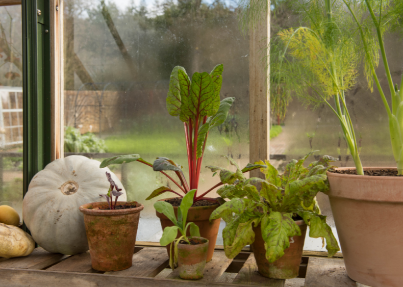 Garden year-round