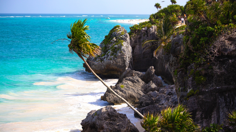 Newsweek Amplify-American Cruise Expeditions